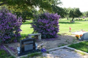 Liberty Hill Cemetery